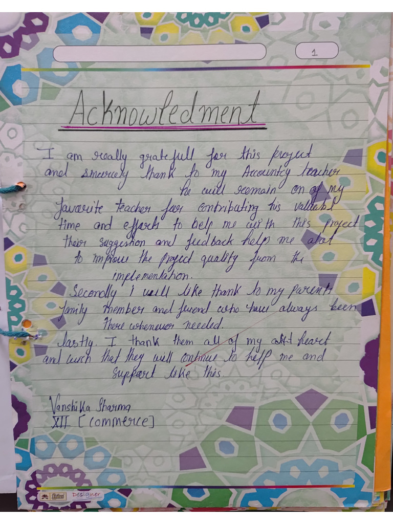 Accountancy Project File | PDF