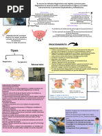 Paracentesis: Procedimiento y Pasos | PDF