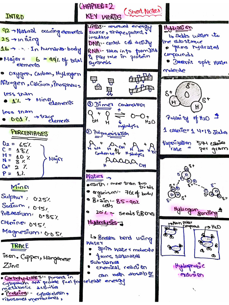 Bio Chap 2 Short Notes by Zoha | PDF