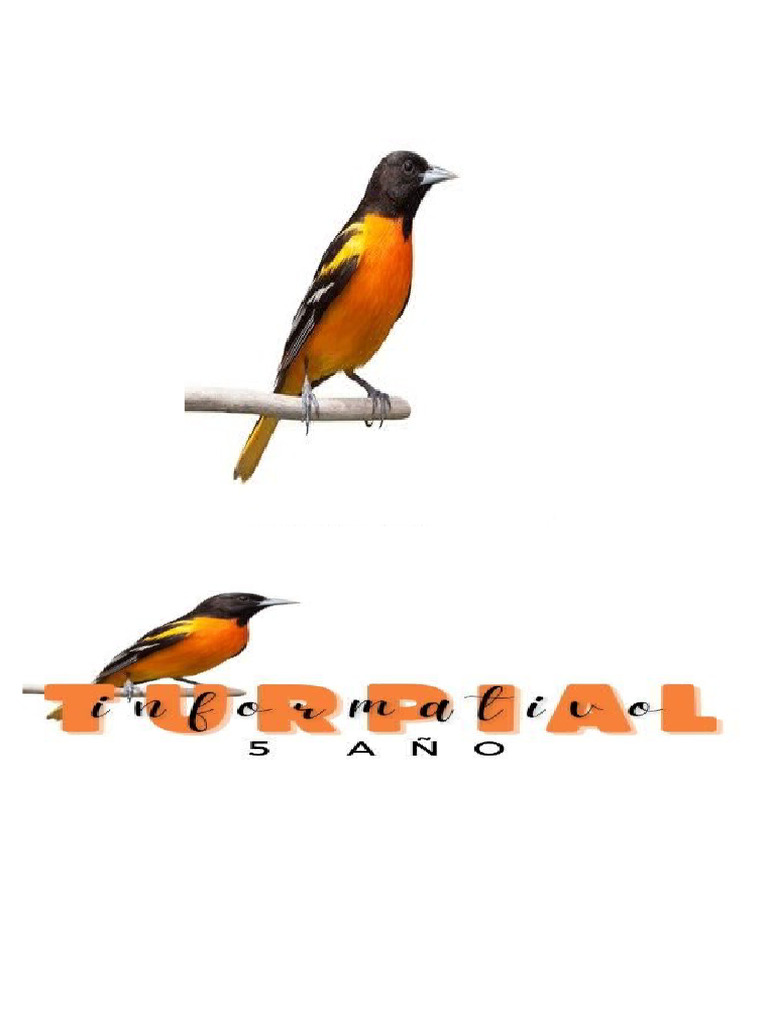 Turpial | PDF
