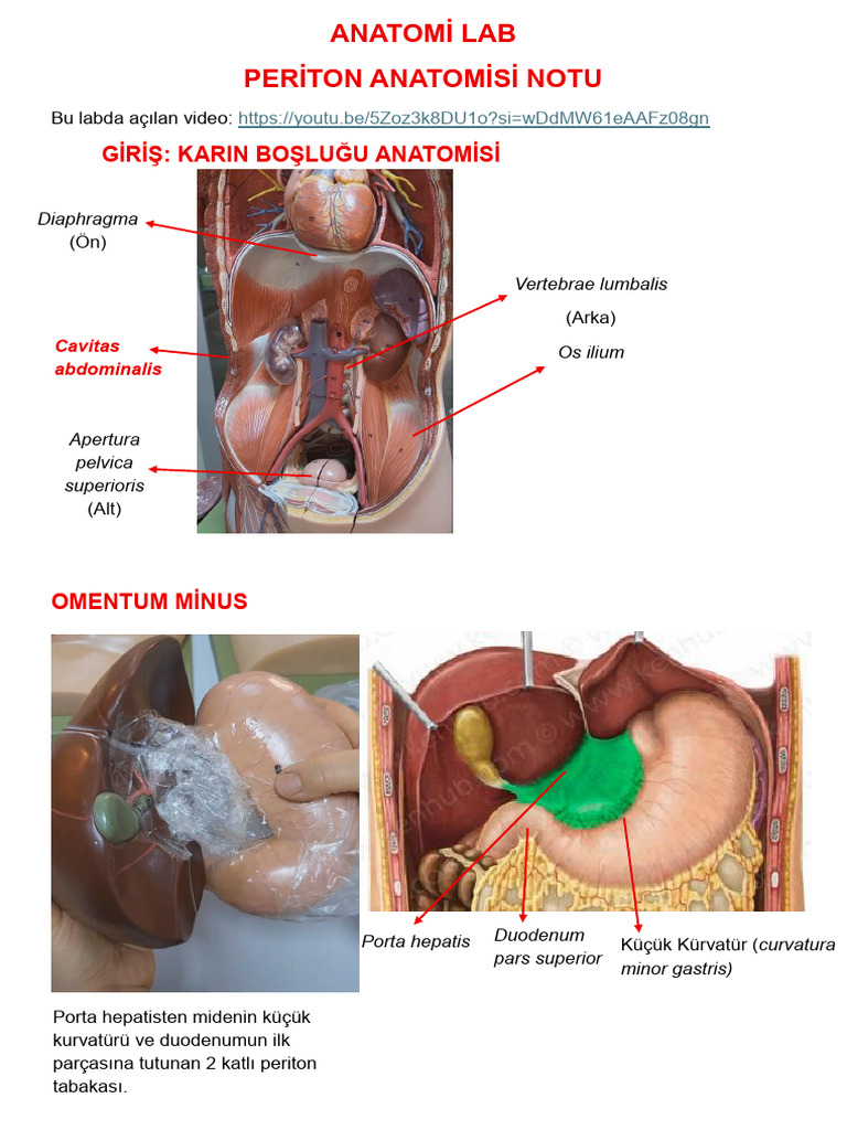 Periton LAB | PDF