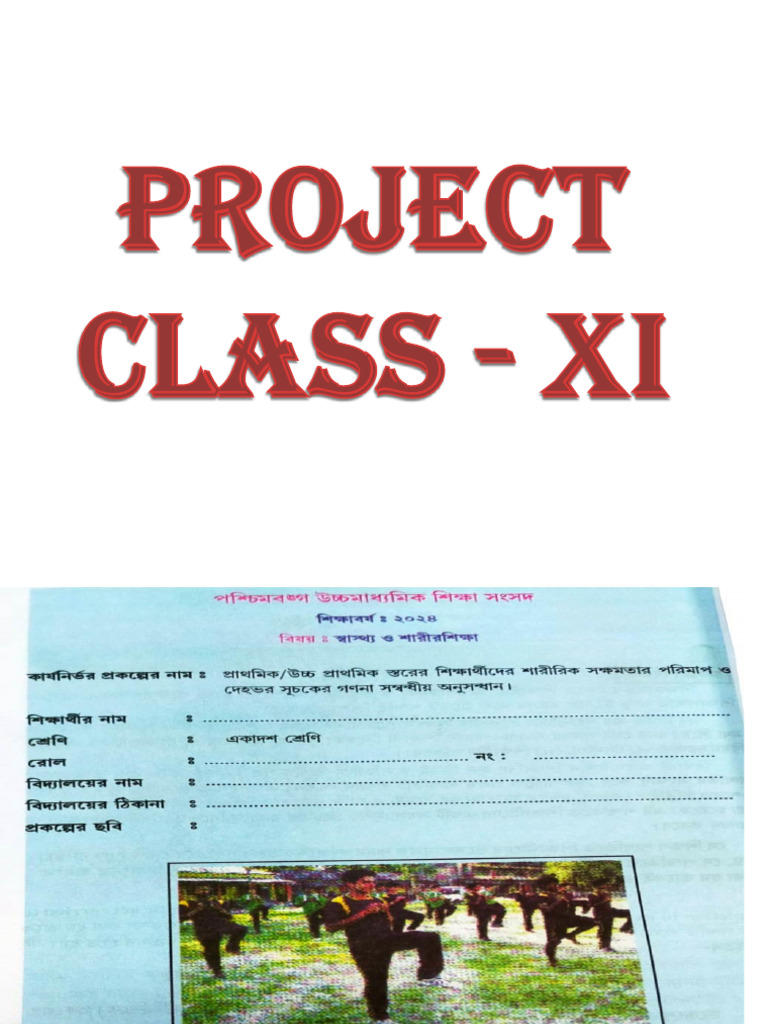 Project Class - Xi | PDF