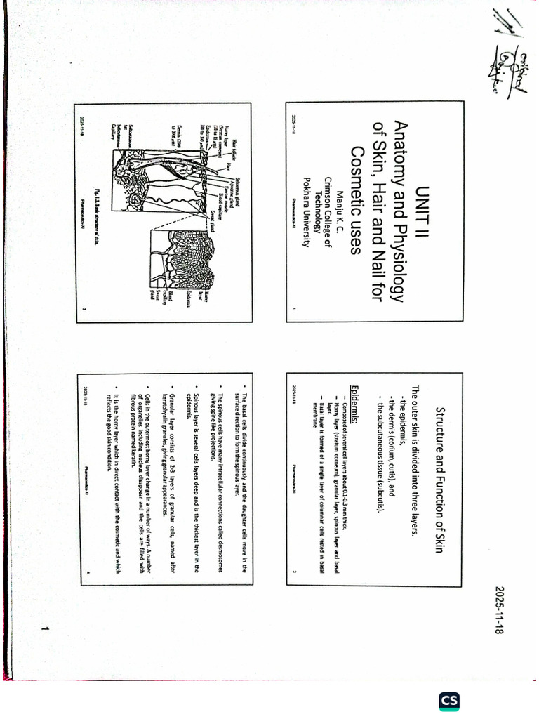 Cosmetology Unit 2 Skin | PDF
