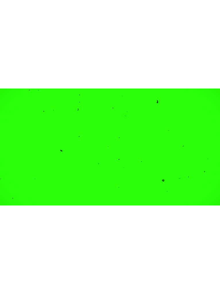 Green Screen | PDF