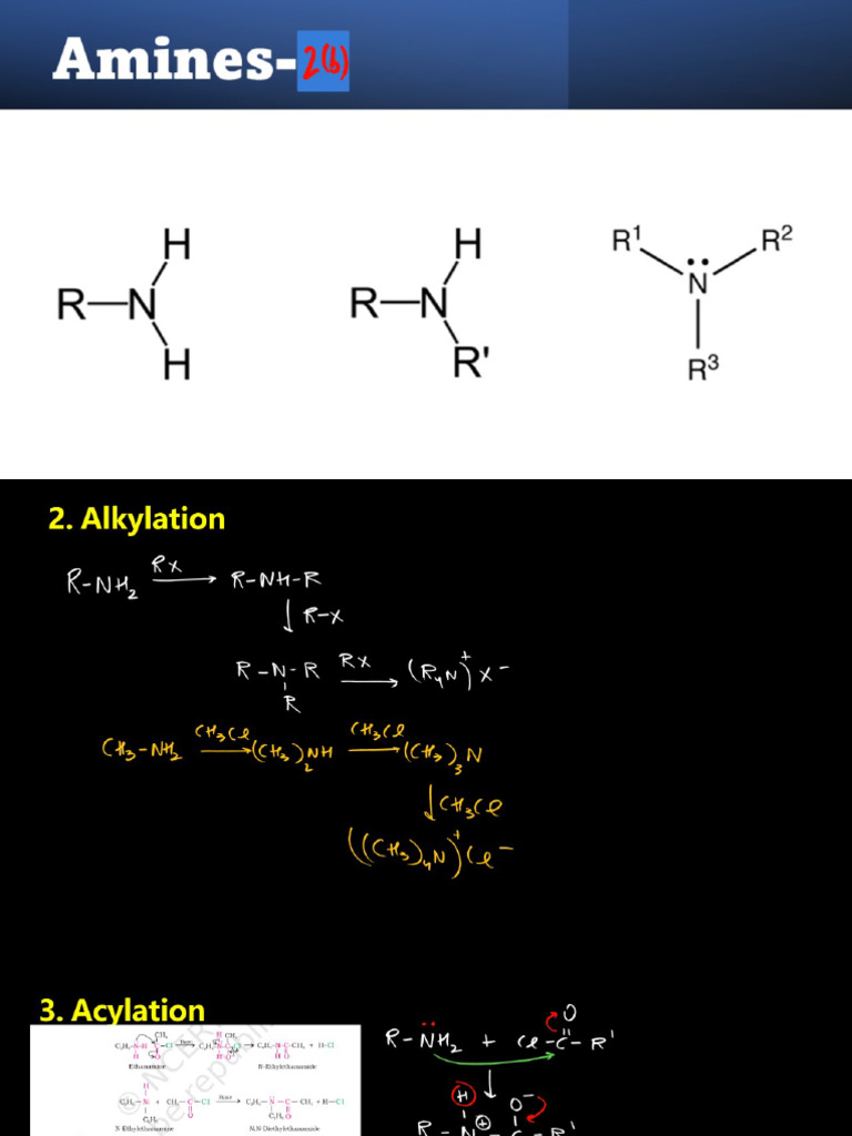 Amines L-2 | PDF