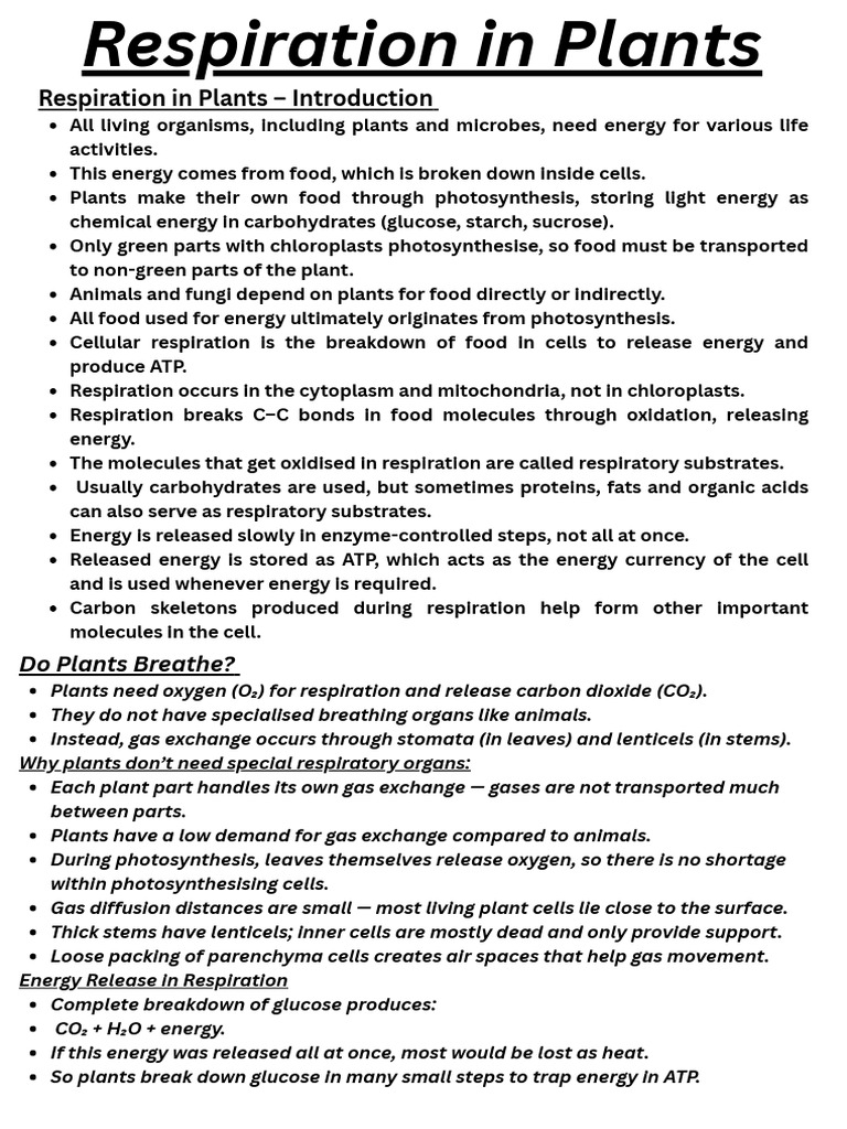 Respiration in Plants | PDF | Cellular Respiration | Diet & Nutrition