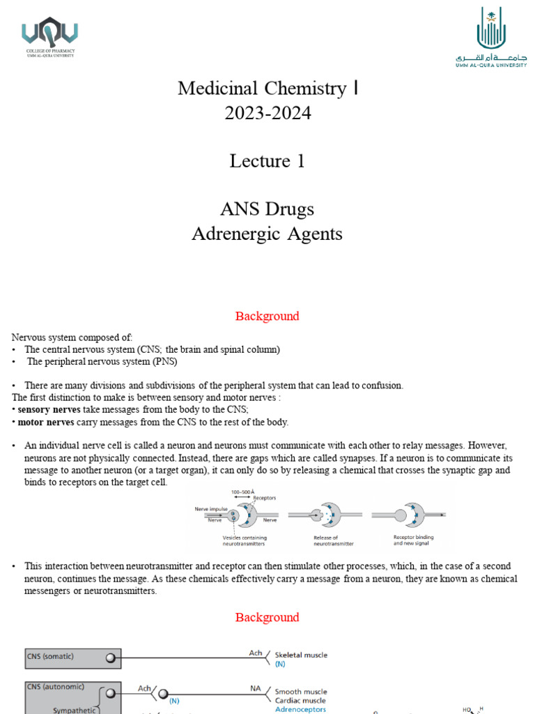 Lecture 1 Adrenergic Agents Copy 2 | PDF | Nervous System | Norepinephrine