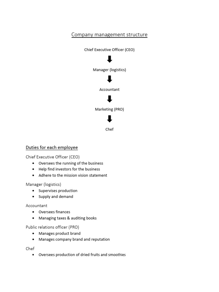 Company Management Structure | PDF