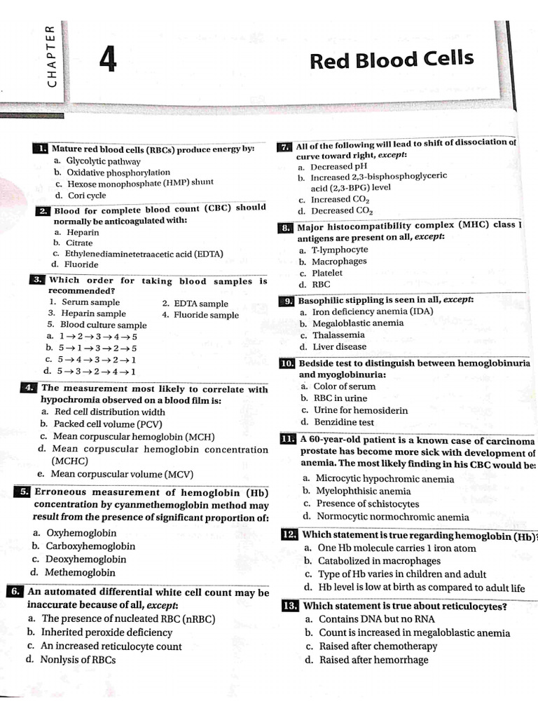 Red Blood Cells | PDF | Anemia | Red Blood Cell