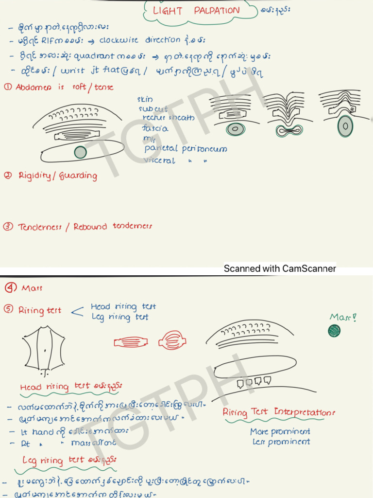 Abdominal Examination Handwritten Notes | PDF