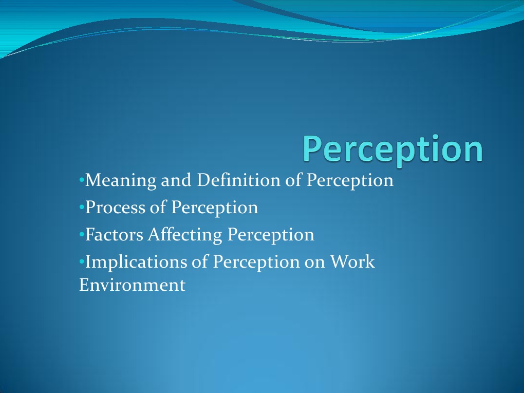 Understanding Perception in the Workplace | PDF