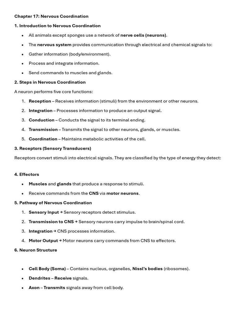 Nervous Coordination | PDF | Chemical Synapse | Neuron