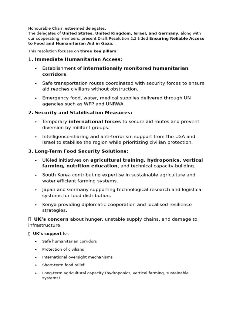 DR Rough Summarizing Speech | PDF