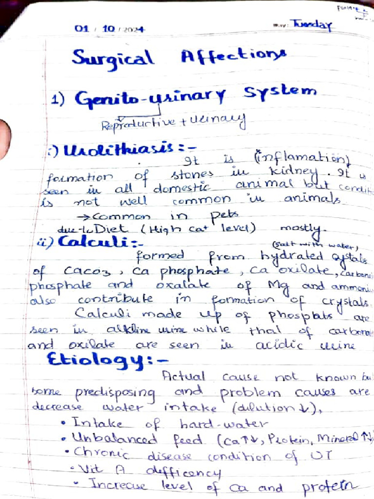Abode Scan Practical Note Book | PDF
