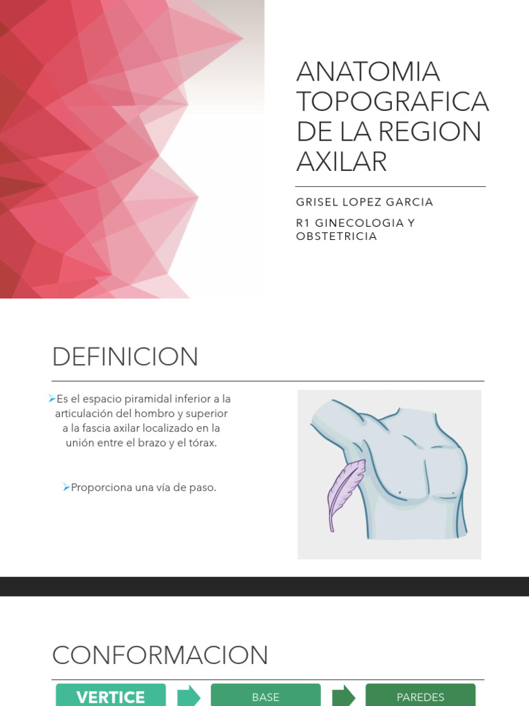 Anatomia de Axila | PDF | Anatomía humana | Sistema musculoesquelético