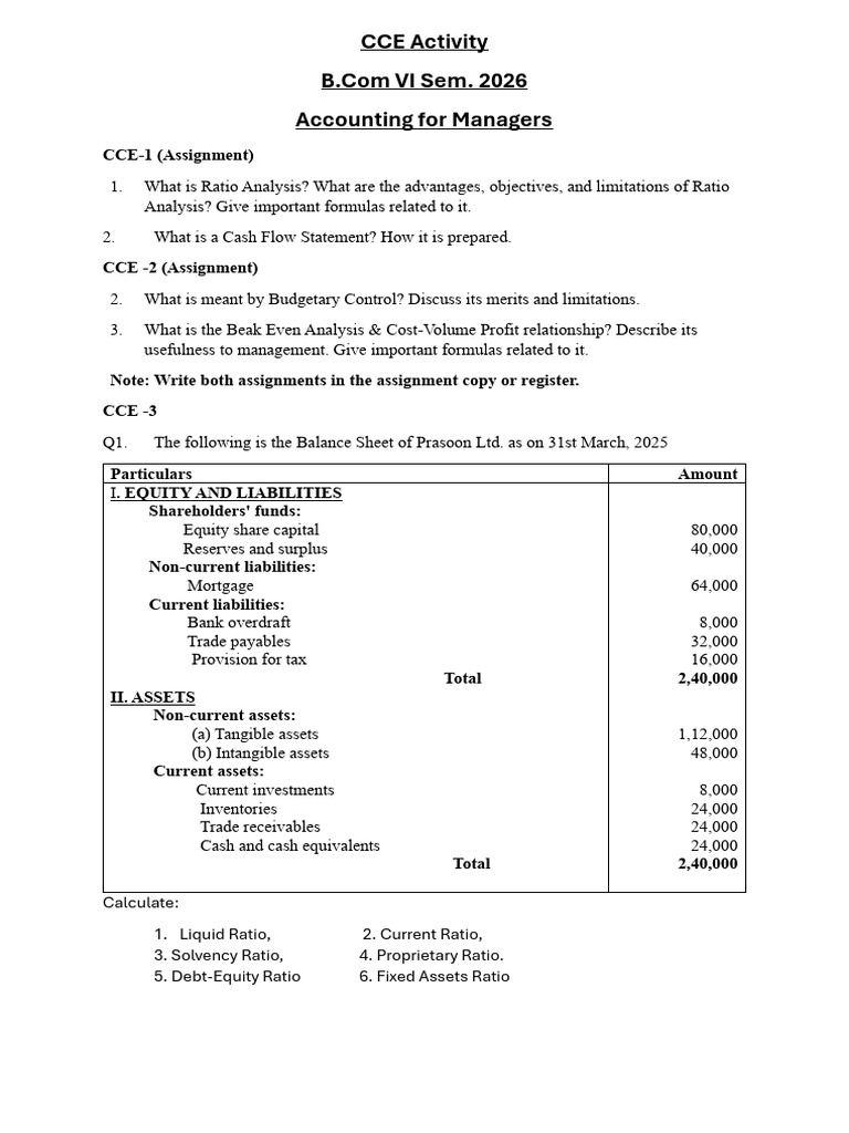 CCE Activity of Accounting For Managers 2025 (N-Z) | PDF | Balance ...