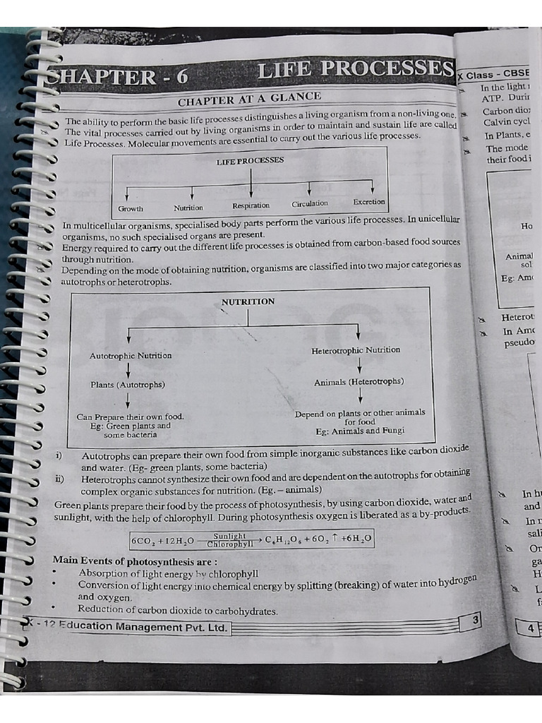 Bio Class 10 Ls 1and 2 | PDF