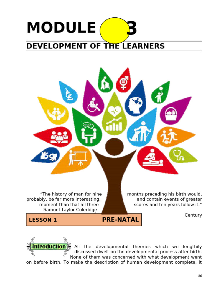 The Child Module 3 | PDF | Embryo | Prenatal Development