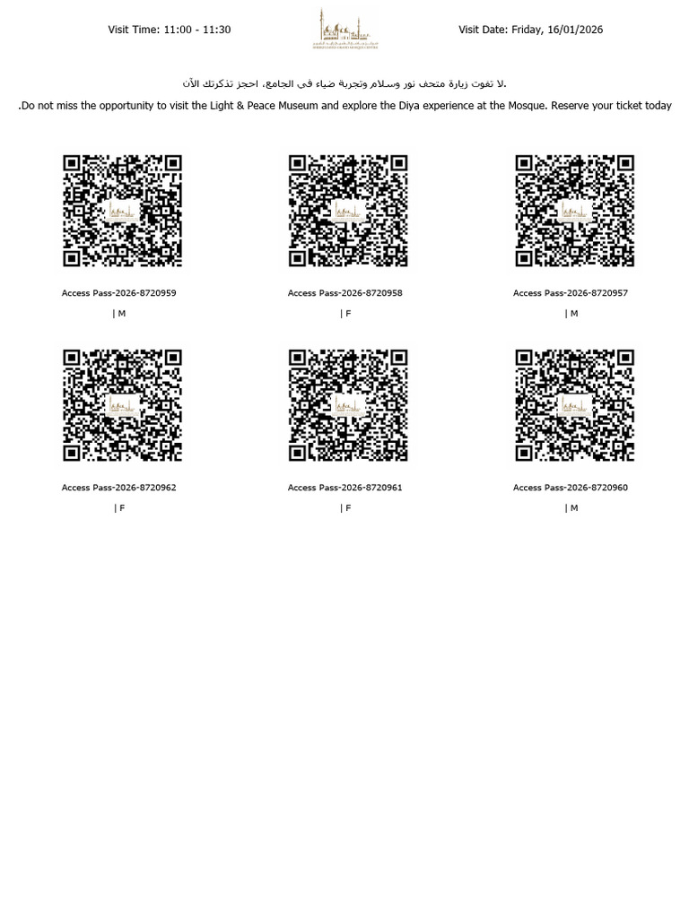 Access Pass QR Code 1 | PDF