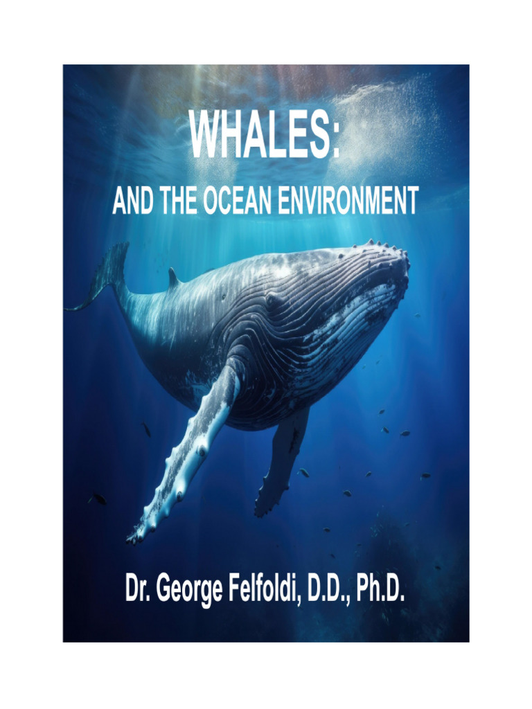 2026 - George Felfoldi - (eBook-Whales) - Whales and The Ocean ...