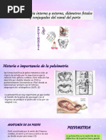 Pelvimetría en Obstetricia y Técnicas | PDF | Pelvis | Parto