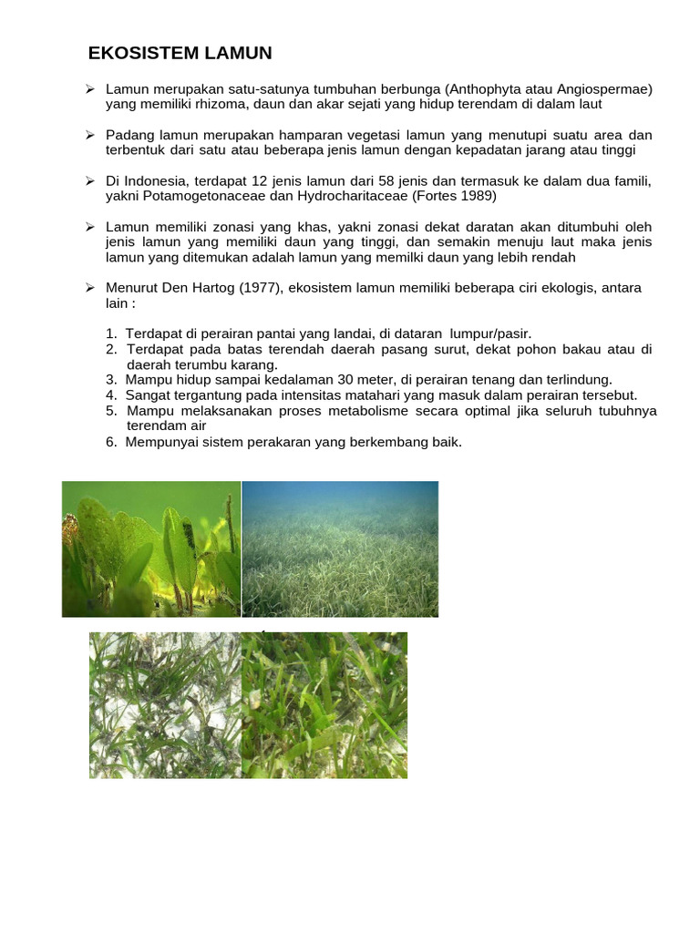 Ekosistem Lamun | PDF