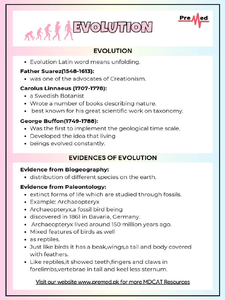 Evolution | PDF