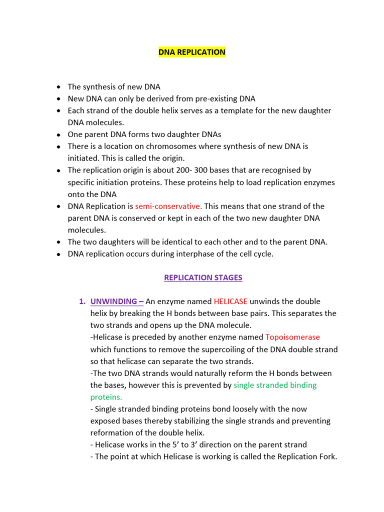 Dna Replication | PDF | Dna Replication | Dna