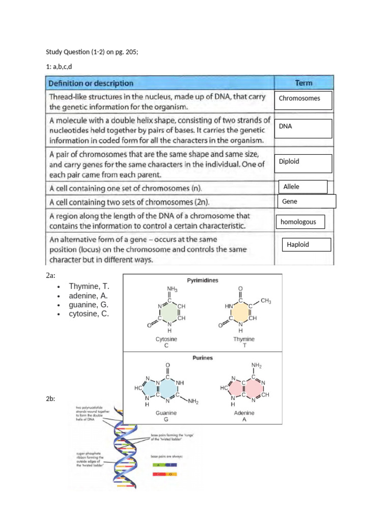 Bio HWW | PDF