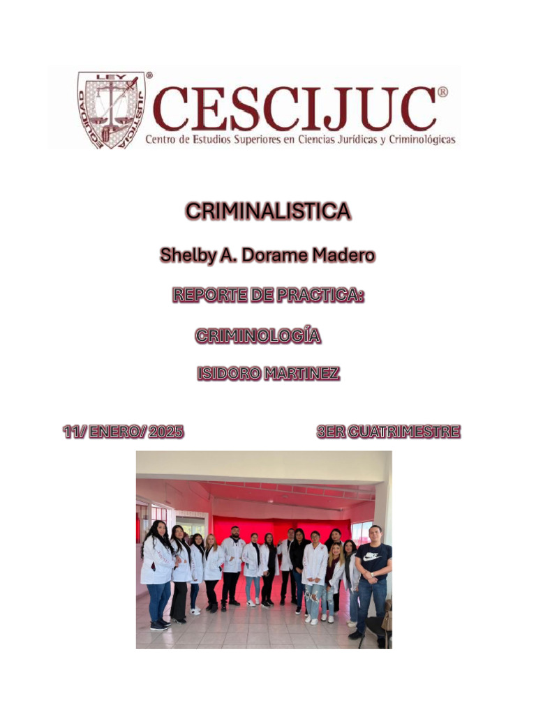 Bali Stica | PDF