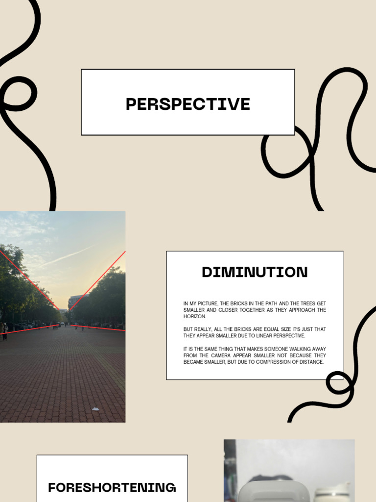 Perspective | PDF