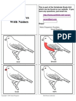 Bird Picture Labels