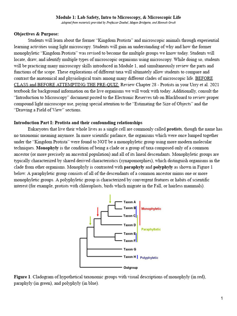Module 1 Microscopic Life 2026 | PDF | Vacuole | Biology