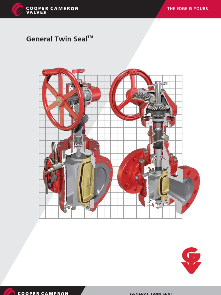 CV Valvulas Twin Seal PDF Valve Indemnity