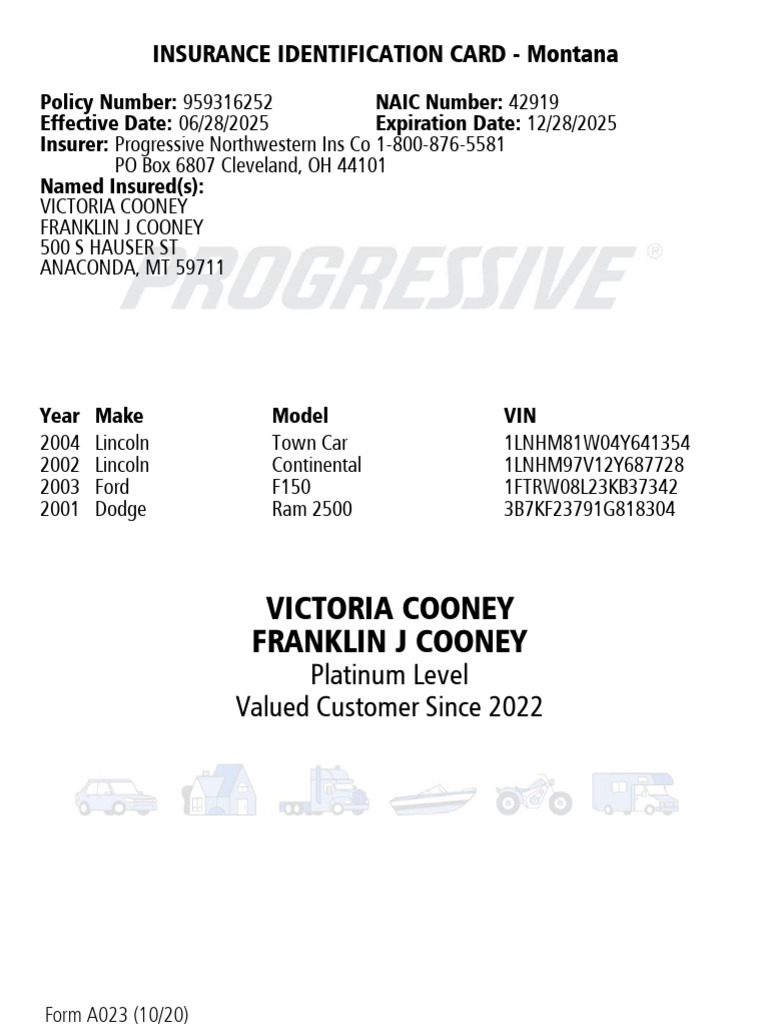 p Gr Insurance Id Card Auto | PDF