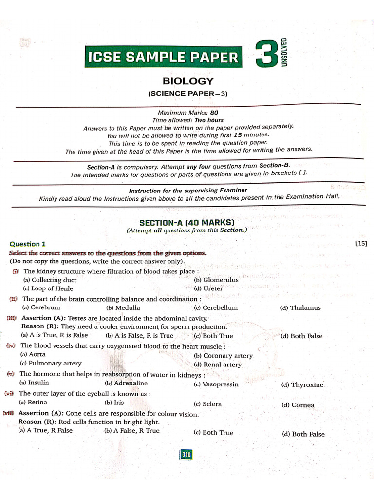 Practice Paper 3 Class 10 | PDF