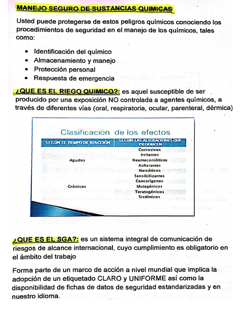 Prueba Rojas | PDF