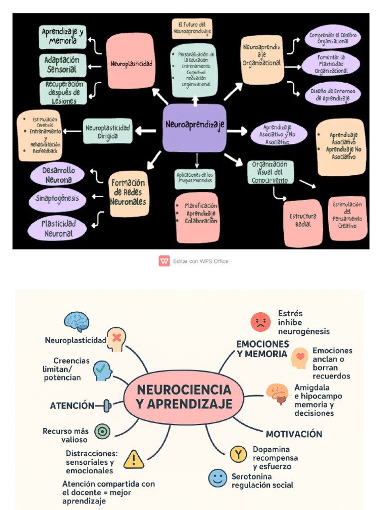 Mapa Mental de María Panta y Marcia Peña | PDF