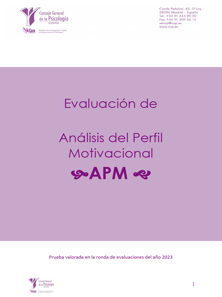 Análisis Del Perfil Motivacional APM-Informe-Final | PDF | Validez ...