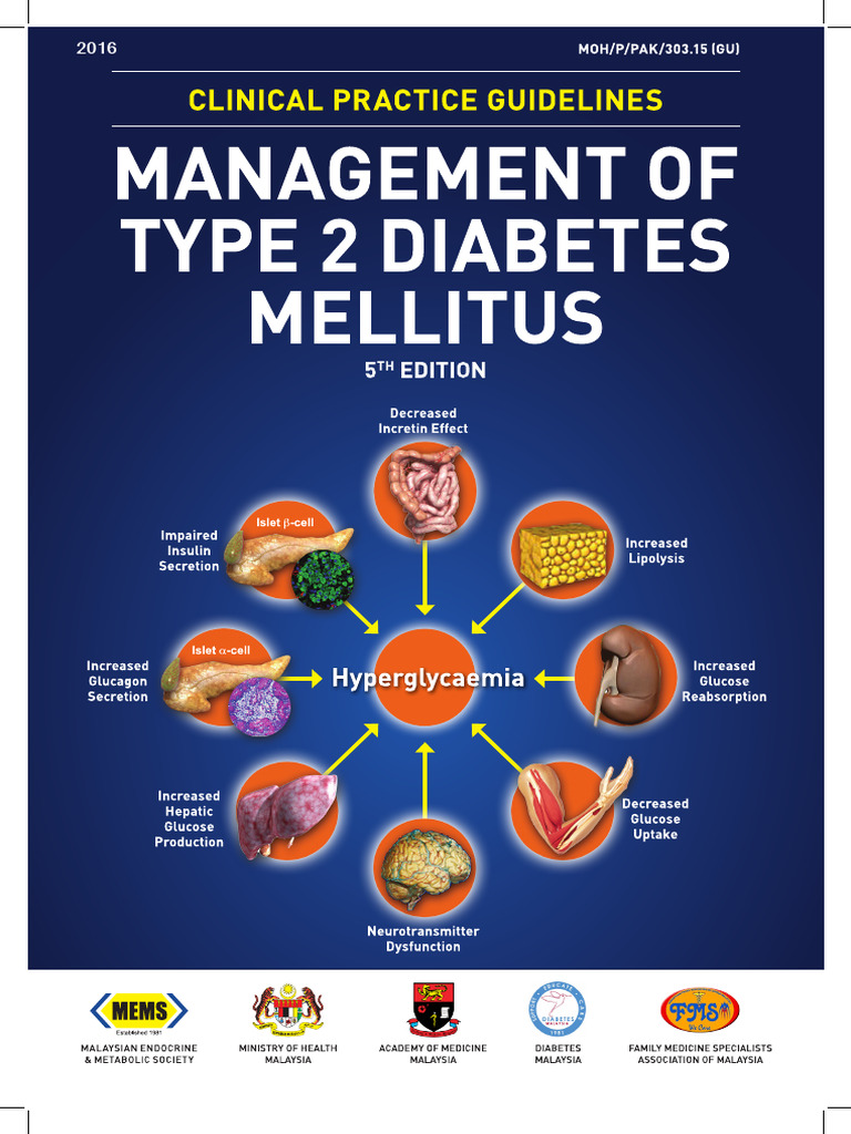 TM Management of Type 2 Diabetes Mellitus (5th Edition) | PDF ...