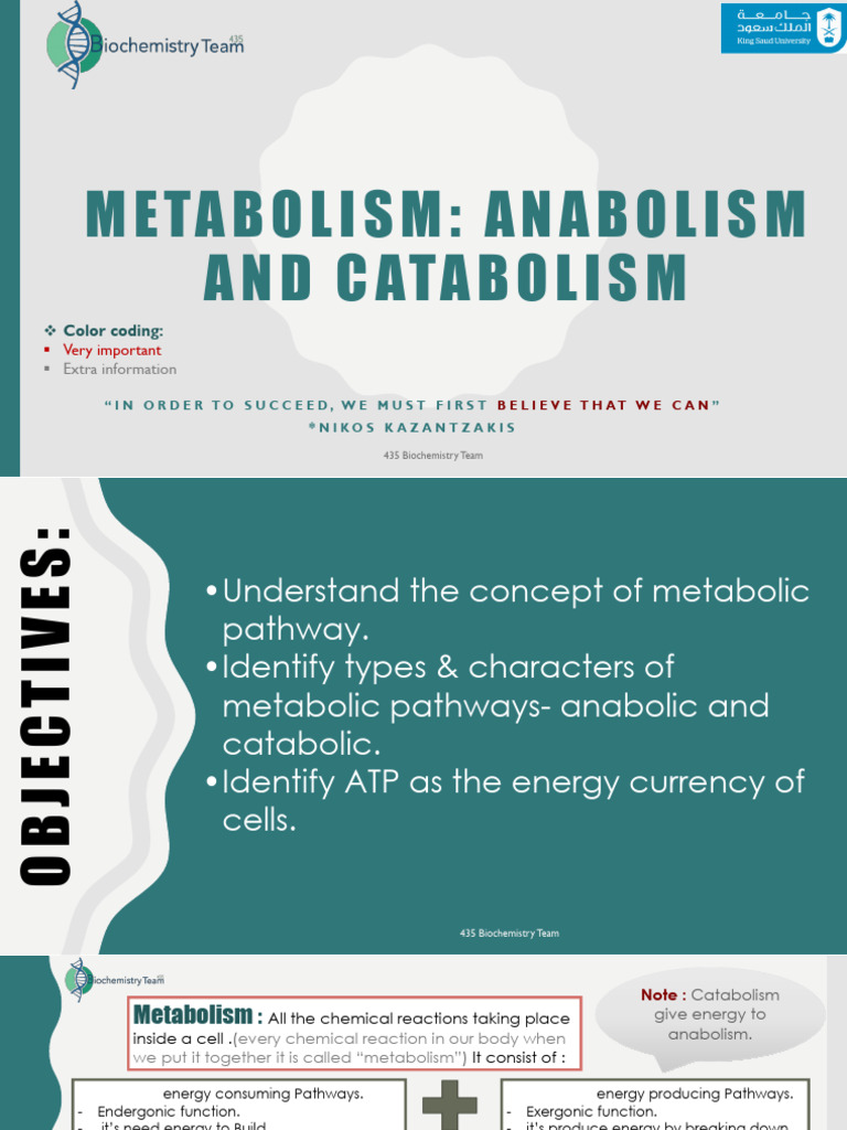 9-Metabolism - Anabolism and Catabolism | PDF | Metabolic Pathway ...