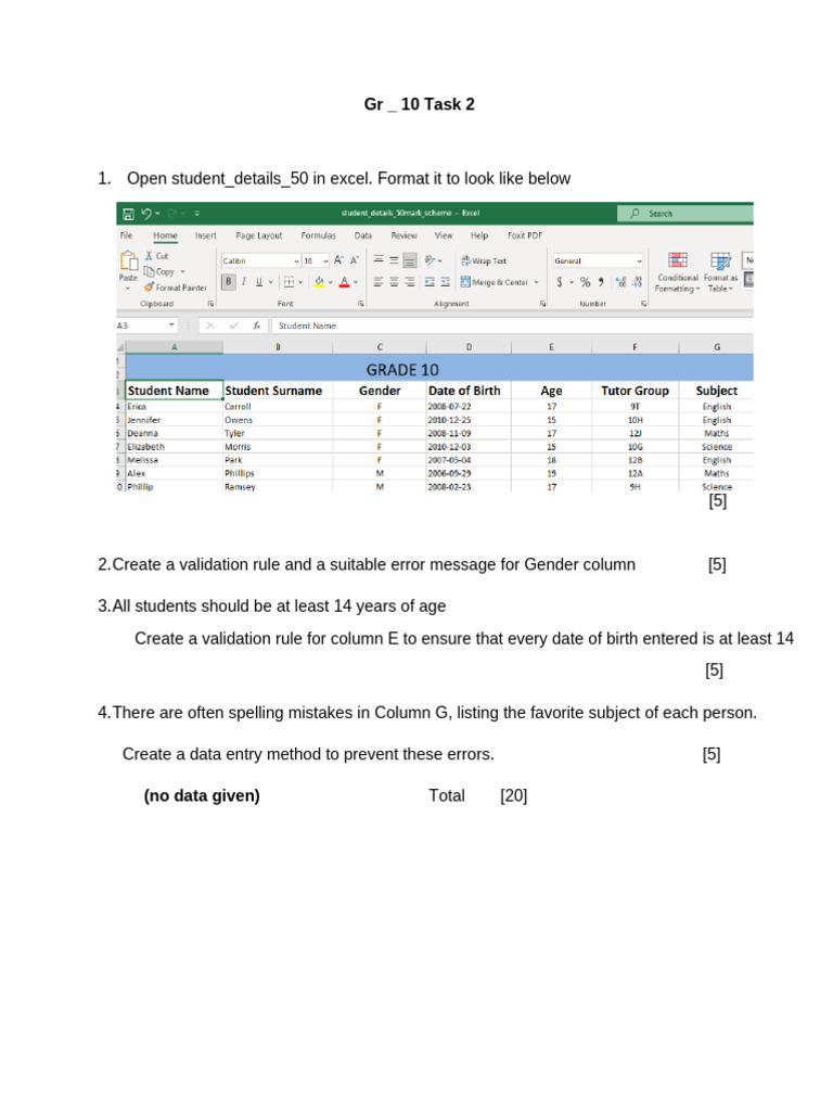 GR 10 ICT Excel Validation Practical Exam Task 2 Term | PDF
