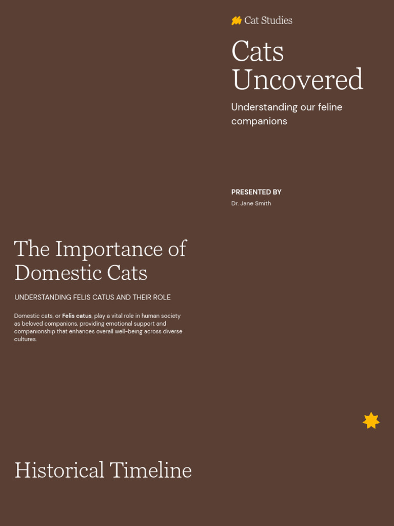 Presentation - Cats Uncovered | PDF | Cats | Pet