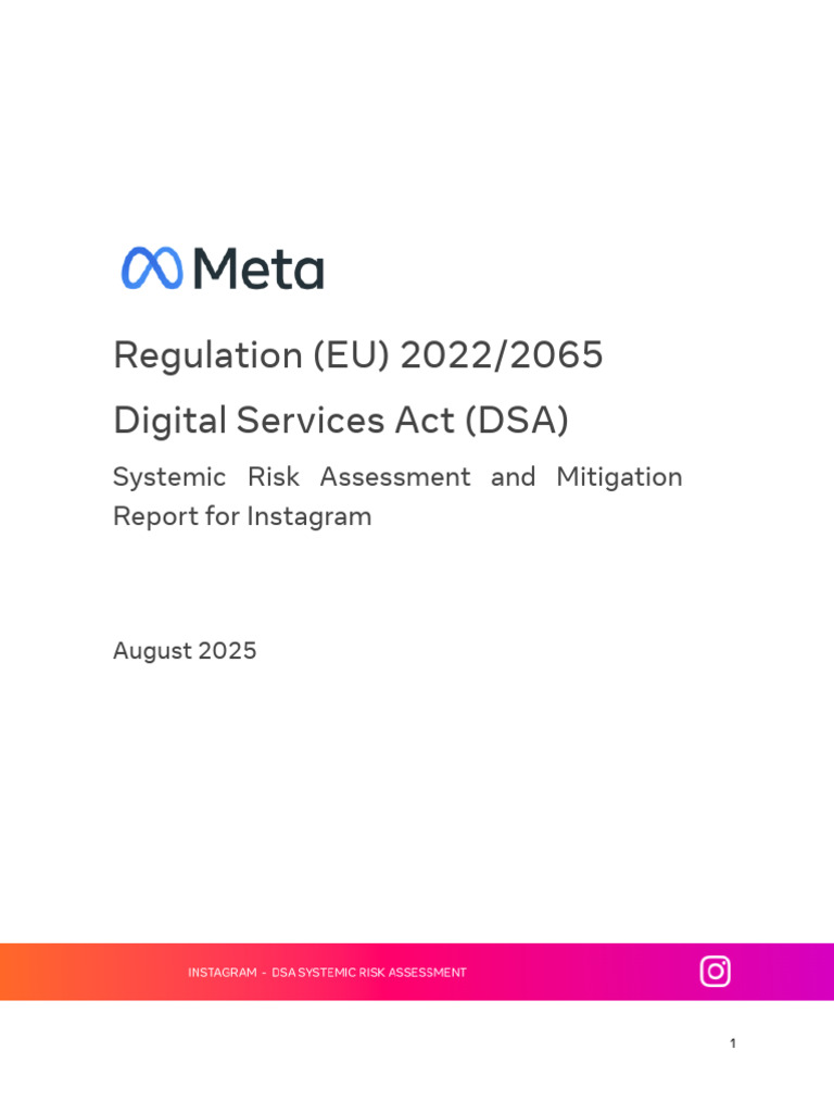 EU DSA SRA Report 2025 Instagram | PDF | Risk | Systemic Risk