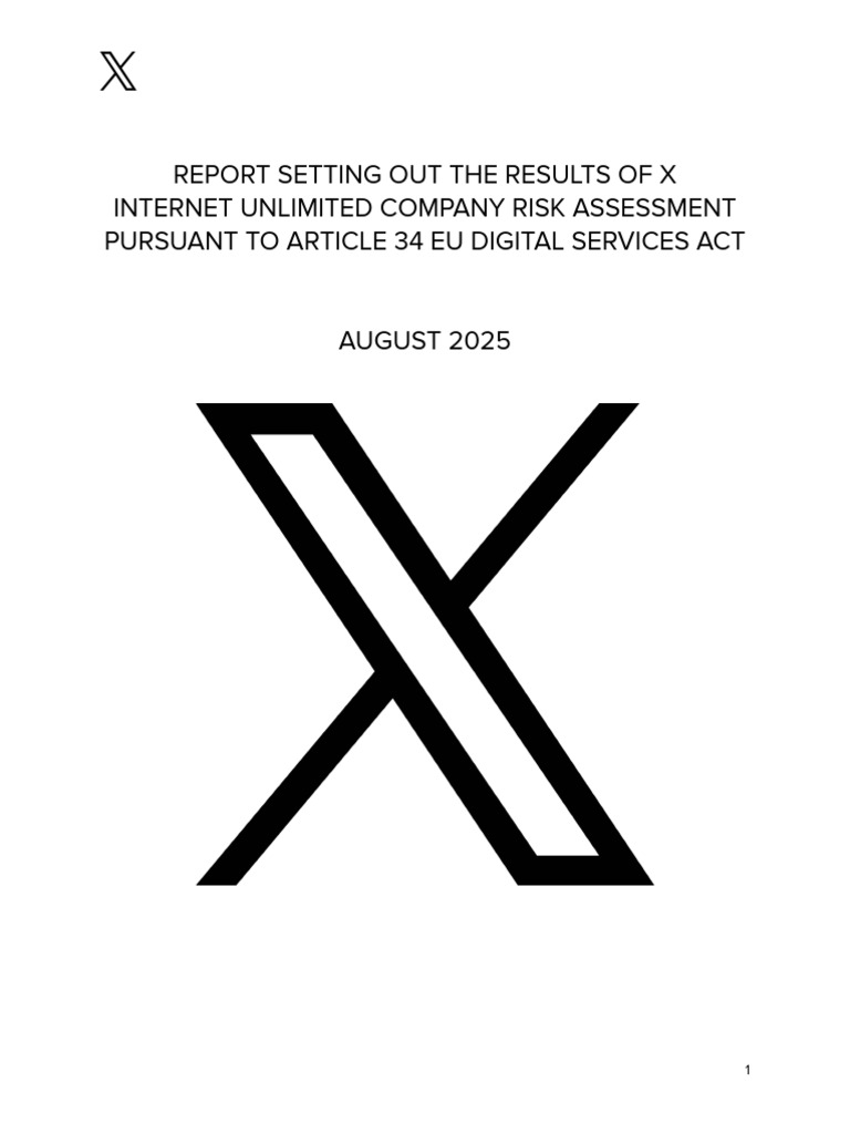 2025 X Dsa Sra Summary Report | PDF | Risk | Risk Assessment