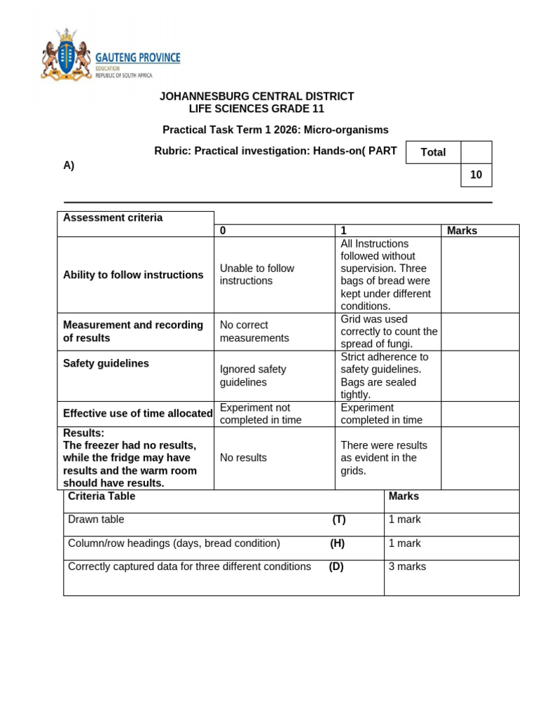 Gr. 11 Part A - Rubric Term 1 Practical 2026 | PDF