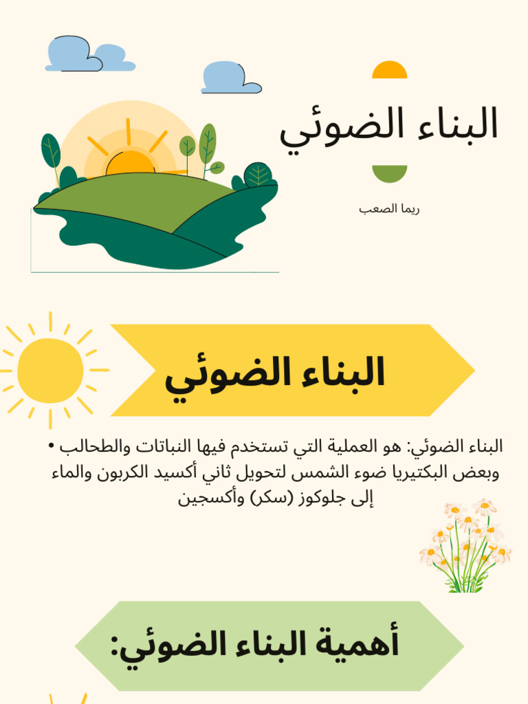 The Effect of Sunlight On Earth's Surface Education Presentation in ...