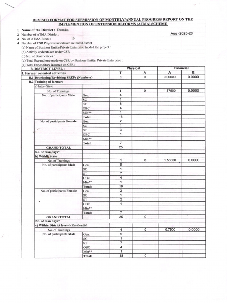 Smae July 2025 MPR | PDF