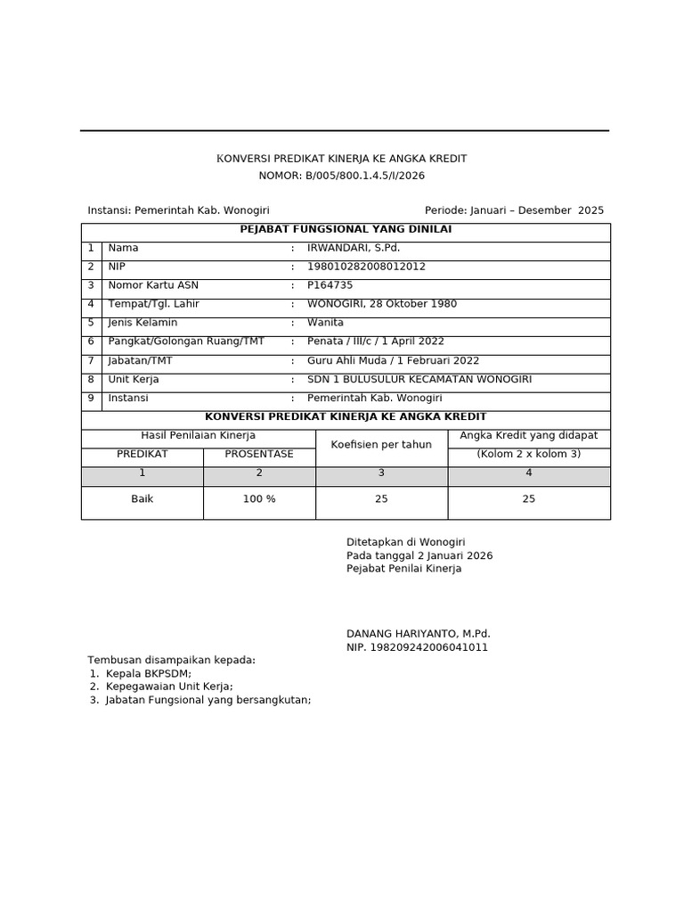 Draft Pak Irw2025 | PDF