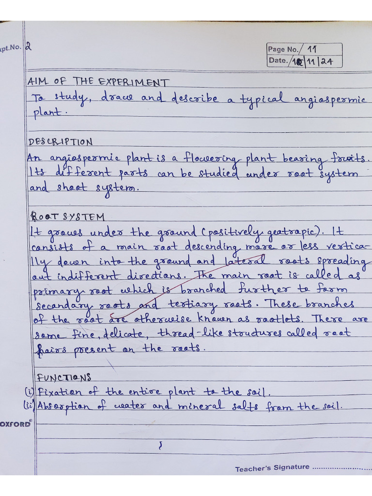 Botany Practical | PDF